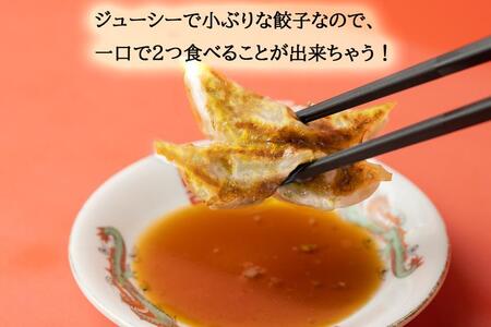 【３回定期便】丸正手作り餃子 ８１個（２７個入り×３箱）
