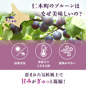 [先行受付] 【8月上旬～9月上旬出荷】北海道 仁木町産 プルーン 約3kg（500g×6パック）サイズ混合 果物類 フルーツ 果物 詰合せ セット [くだもの直売  もり園]