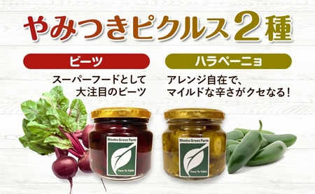 【2026年発送】 北海道 有機野菜 6種 ギフト BOX ピクルス ドライ野菜 ハラペーニョ ビーツ トマト ケール バジル イタリアンパセリ オーガニック ハーブ 加工食品 とまと 