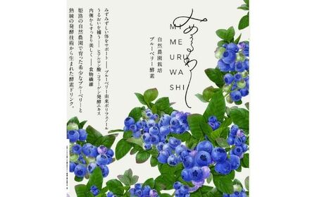 みめうるわし　500ml /ブルーベリー 酵素ドリンク　発酵飲料 加工食品 