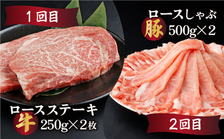 【定期便・全6回】宮崎牛と宮崎産豚肉 6ヶ月定期便！計3.7kg_K030-T001