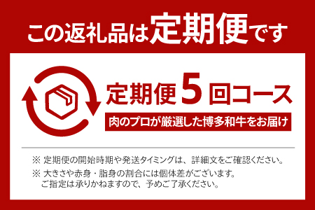 E132.【博多和牛】A４・Ａ５等級博多和牛霜降りカルビ焼肉タレづけ６００ｇ（定期便：全5回）