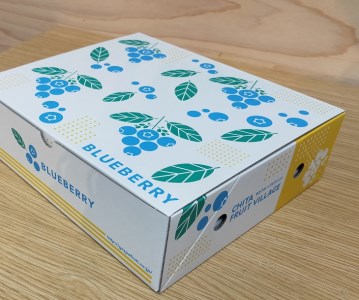 ＼人気の返礼品／ 大粒 生ブルーベリー 400g (100g×4) 完熟 採れたて 旬のフルーツ 果物 国産 愛知県 美浜町 先行予約 期間限定 ※2026年5月上旬～発送予定