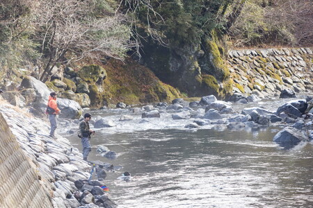 鮎沢川あまご釣り 「年券」大人券◇ | 游漁券 釣り フィッシング 鮎沢川 渓流釣り アマゴ 静岡県 御殿場市