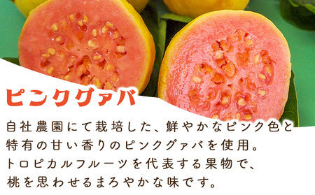 まるで果実を食べているような！グァバドリンク3本セット(各720ml)_K021-013