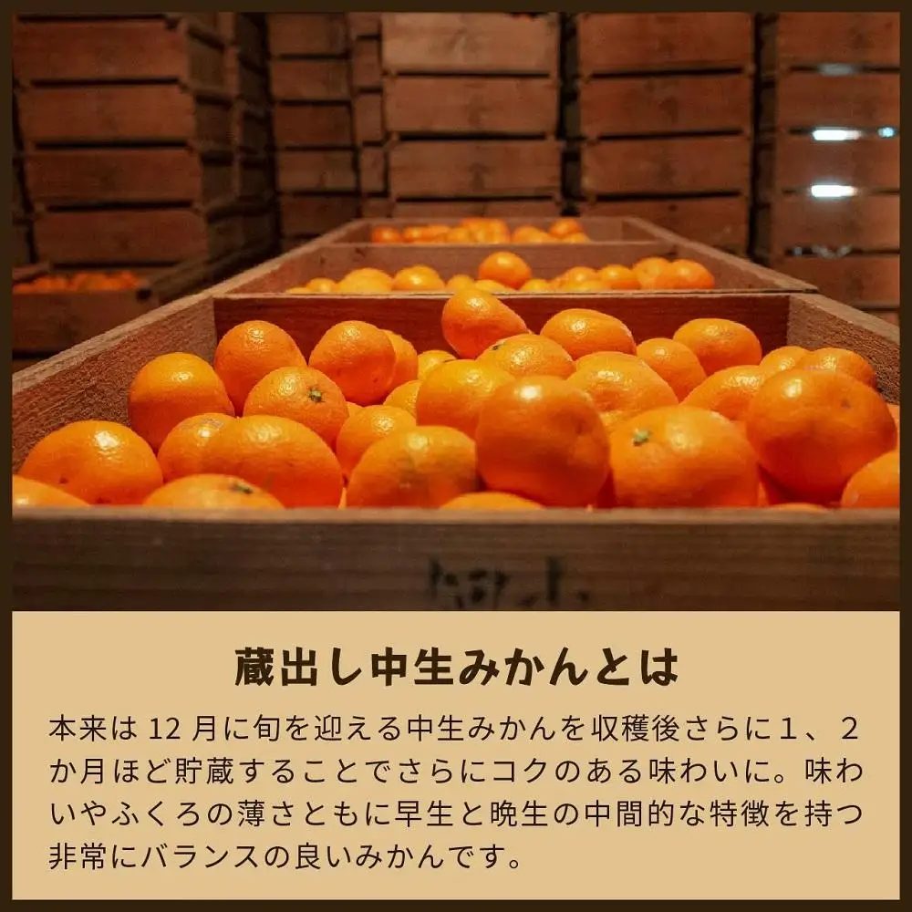 蔵出しみかん中生　5kg家庭用｜和歌山県海南市下津町の特産品蔵出しみかんの中生品種を産地直送でお届け【2027年1月発送開始】