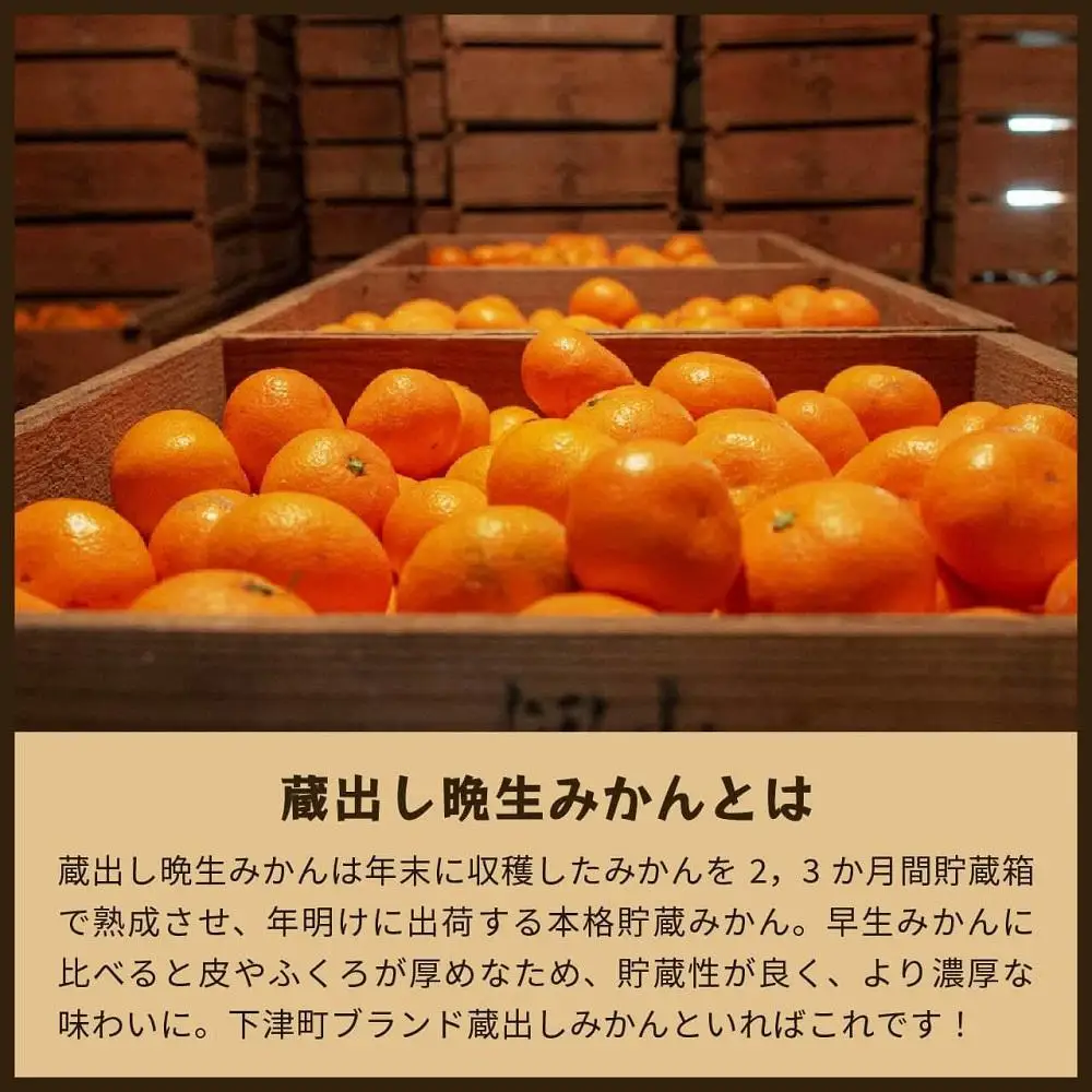 蔵出しみかん晩生　5kg家庭用｜和歌山県海南市下津町の特産品蔵出しみかんの晩生品種【2027年1月発送開始】