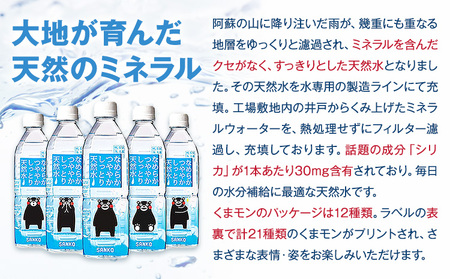 なめらかつややかしっとり天然水 500ml 合計48本 24本×2ケース 株式会社サンコー熊本営業所《30日以内に出荷予定(土日祝除く)》天然水 軟水 鉱水 シリカ水 飲料水 ミネラルウォーター ペットボトル 熊本県 菊池市 送料無料