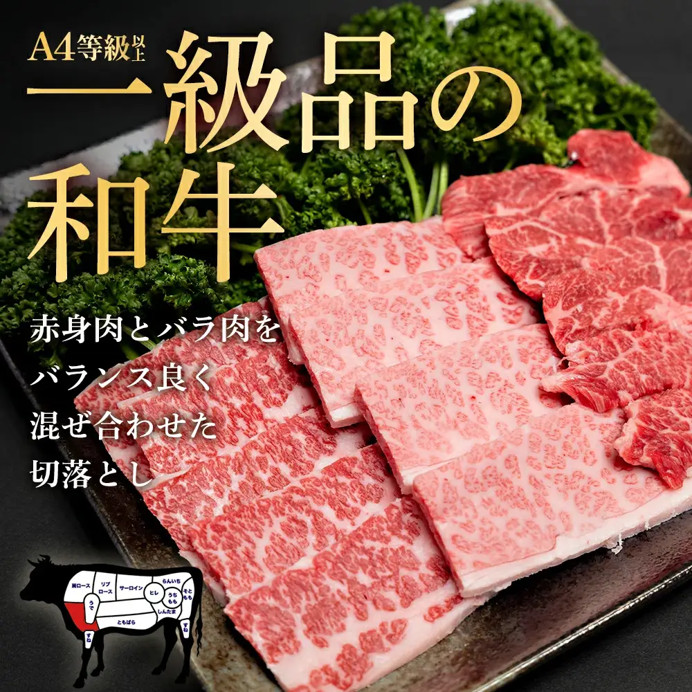 【 武州和牛 】長谷川ビーフ（埼玉県 深谷市 牛）焼肉用（カタ・バラ）400g 和牛【11218-0418】