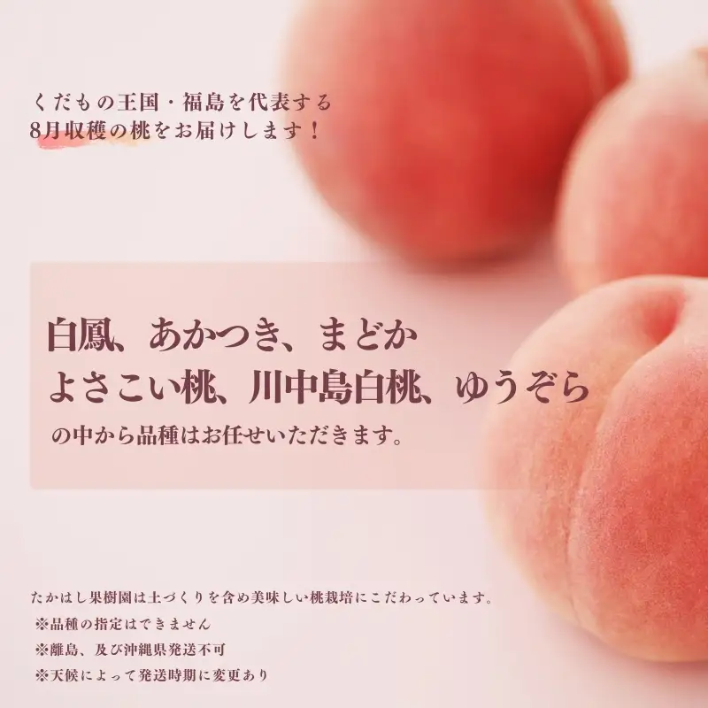 No.1905たかはし果樹園の桃　8月収穫約1.5kg【2026年発送 先行予約】