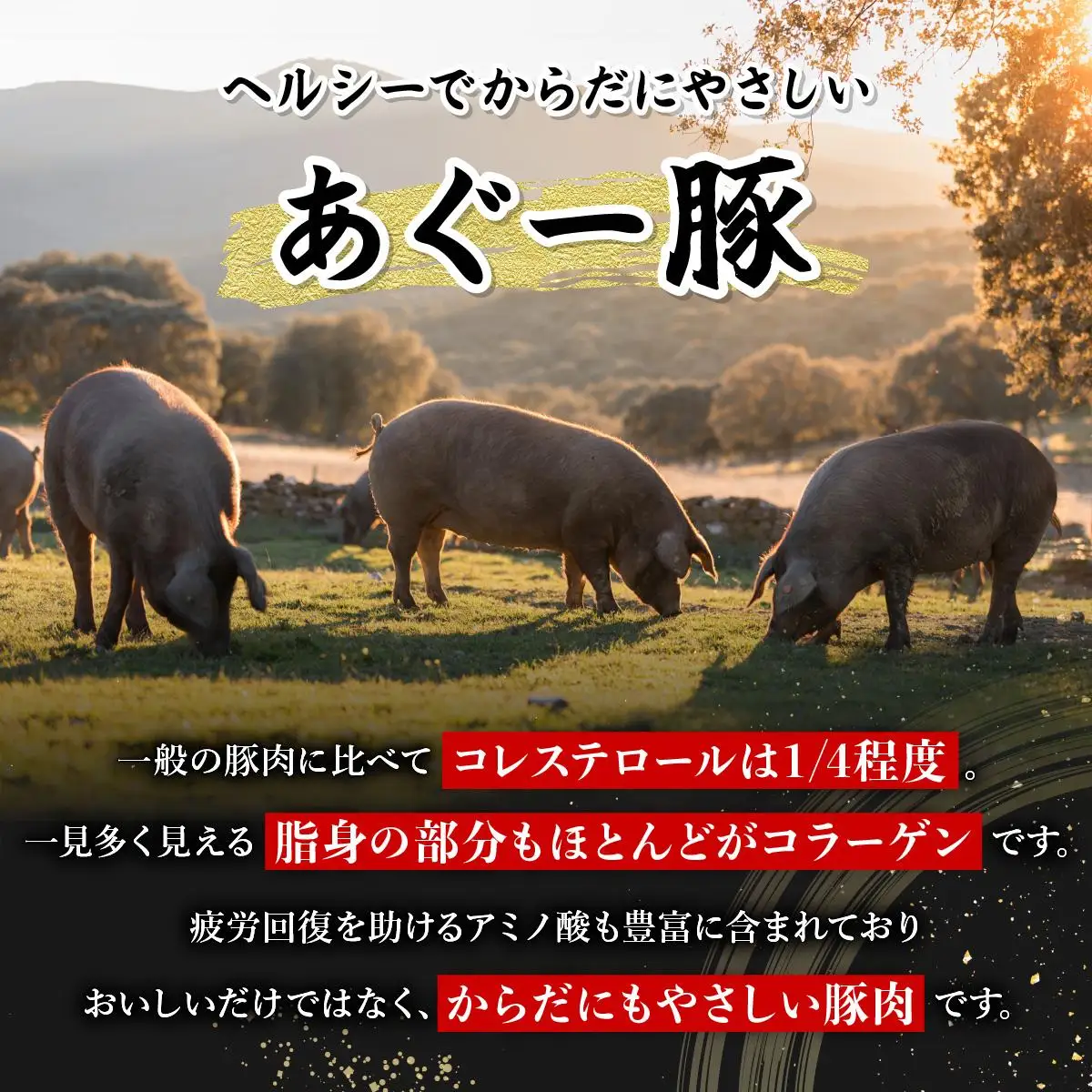 【美ら島あぐ～】豚肉ボリュームセット   