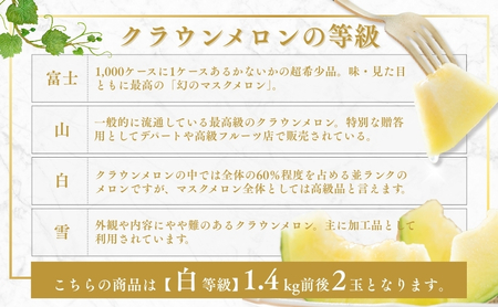クラウンメロン【並（白等級）】大玉（1.4kg前後）2玉入り 果物類 メロン青肉 フルーツ 