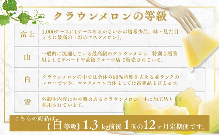 クラウンメロン【並（白等級）】中玉（1.3kg前後）1玉入り（12か月連続お届け） 果物類 メロン青肉 フルーツ 12カ月 12回 1年 