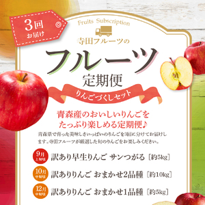 【2026年9月発送開始】 フルーツ定期便【3回】（りんごづくし）りんご　訳ありセット | フルーツ定期便