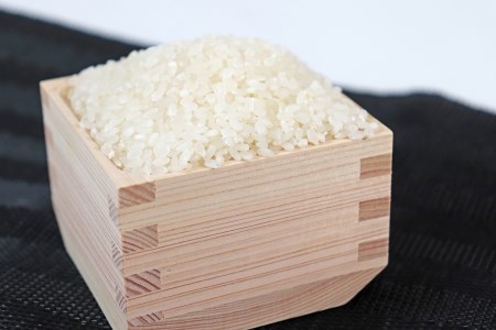≪令和7年産≫ 【3か月定期便】岐阜 ハツシモ （約5kg×3回）