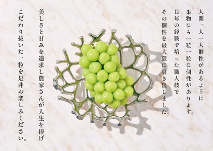 甲州市産 大粒シャインマスカット2房入り 約1.3kg 自然農法【2026年発送】(BNC）D5-110 シャインマスカット フルーツ