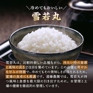 米 令和7年 特別栽培米 雪若丸 5kg [遠藤農園 山形県 高畠町 tk06ayt120000]