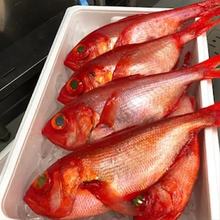 生から湯煎で仕上げる、金目鯛の煮付け 【1本物】【キンメ きんめ お取り寄せ 御中元 お中元 お歳暮 父の日 母の日 贈り物 日本酒 焼酎 タイ タイ】【稲取産 高級地金目使用】【ふるさと納税】【神奈川県小田原市】