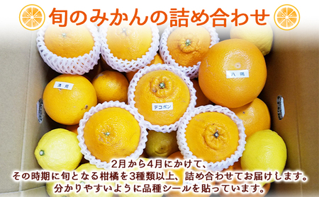 ＜愛媛県明浜産 旬の柑橘 宝石箱（3種類以上詰め合わせ）約7kg＞※2027年2月上旬～4月上旬迄に順次出荷予定 温州みかん ポンカン イヨカン はるか 紅ハッサク ネーブル せとか 不知火 デコポン 清見 紅甘夏 ブラッドオレンジ 宇都宮農園 西予市【常温】AUN0002
