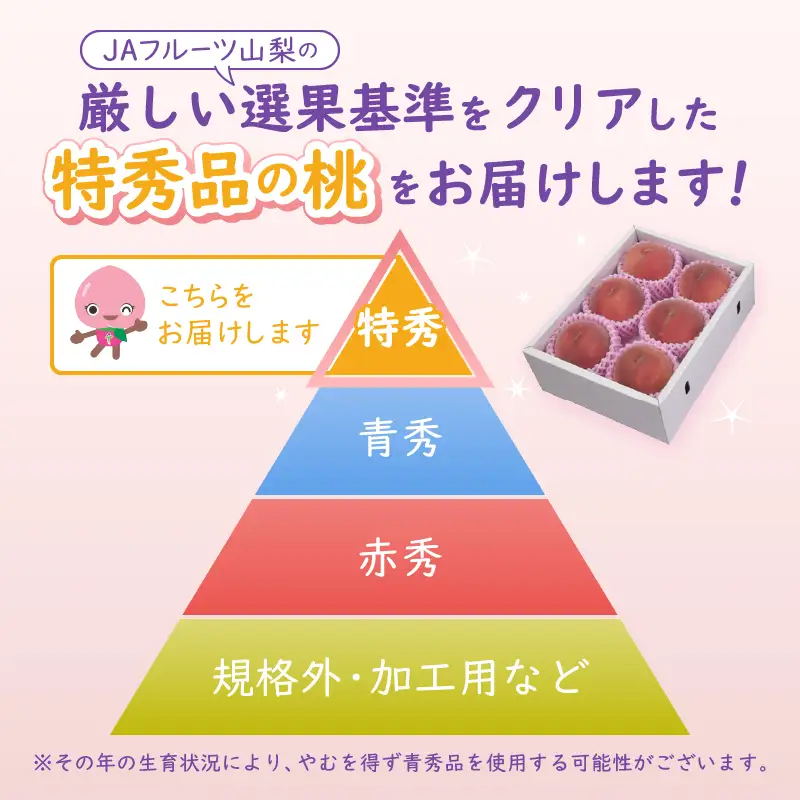 JAフルーツ山梨 甲州市産もも 8～12玉【80】【2026年発送】B2-104 桃 フルーツ