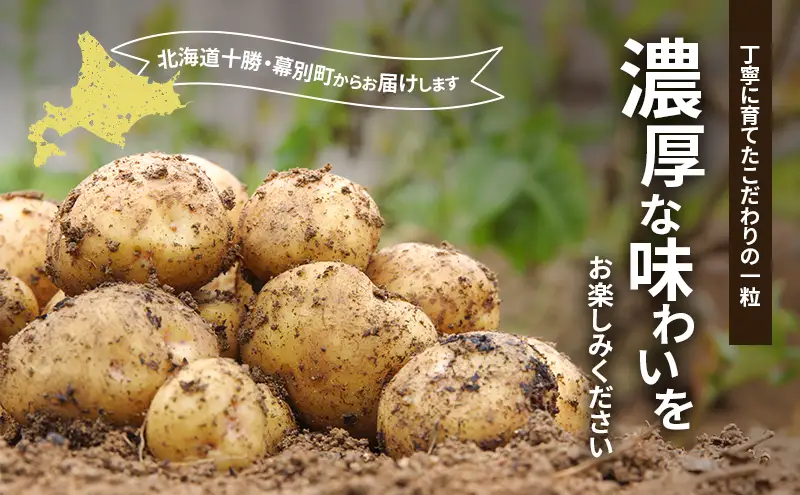 十勝 幕別町産 カラフルポテト8kg 2種(シャドークイーン4kg・ノーザンルビー4kg) 渡邉農場 [2026年11月出荷開始]【 野菜 いも イモ 芋 じゃがいも ジャガイモ 北海道 十勝 幕別 】