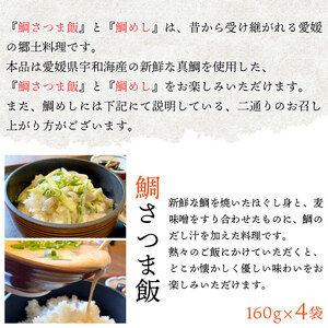 愛媛県 鯛さつま＆鯛めしセット（鯛さつま４袋・鯛めし８袋） UMN0012