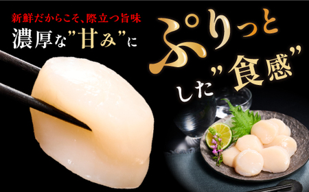 ＼高評価 4.9／ ホタテ 大サイズ (3S) 750g ( 250g × 3 ) オホーツク産 お刺身用_K012-0714-2507