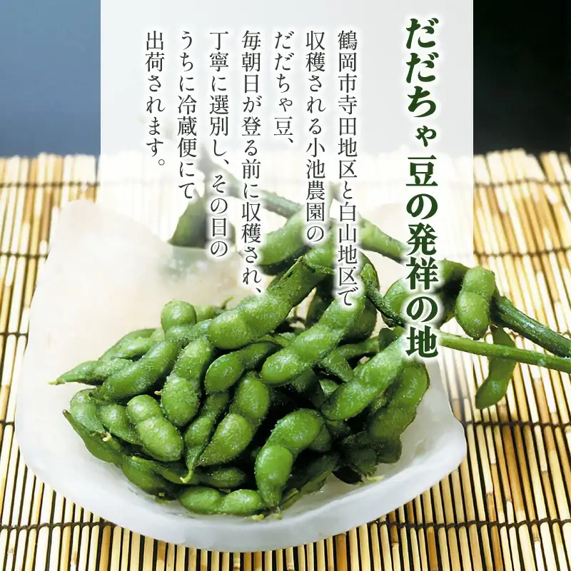 【令和8年産先行予約】【鶴岡の夏の旬を伝える】 小池農園のだだちゃ豆 【おうら】 1.8kg（600g×3袋）K-832