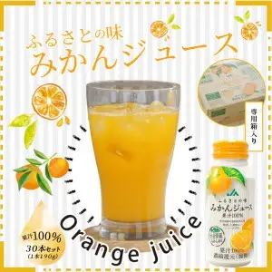 ふるさとの味みかんジュース 果汁100％ 190g×30本 I02064