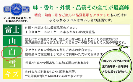 クラウンメロン【並（白等級）】中玉（1.3kg前後）1玉入り 定期便6ヶ月 人気 厳選 ギフト 贈り物 デザート グルメ 果物 袋井市 果物類 メロン青肉 フルーツ 6回 半年