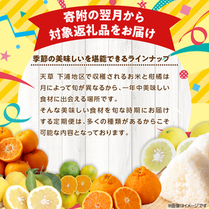S040-T04A_【定期便5回】天草 下浦地区特産の柑橘5種満喫セット(訳あり）【先行受付】