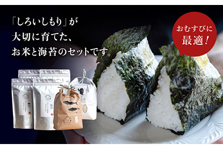 【R6年産】【食べ比べ】米2種（さがびより・ひのひかり各2kg）＆海苔2種（焼のり・塩のり各2袋）しろいしもりの御結びセット / 米 海苔  [ICD002]