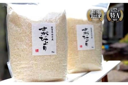 【先行予約】【R6年産新米】さがびより5kg＆こだわりの甘酒 500ml×2本 / お米 甘酒 [IBL019]