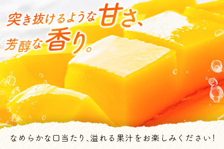 数量限定 宮崎県産 完熟マンゴー＜太陽のタマゴ＞5L×1玉（650g以上）※2026年4月下旬配送開始 化粧箱入 フルーツ くだもの【D114-26】