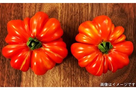 【 糸島 の 福袋 ！ 】朝採り オーガニック 旬 野菜 お任せ 5品 ＋ 糸島産 大ヒット 特産 加工品 2品 のセット《糸島》【オーガニックナガミツファーム】 	[AGE028]