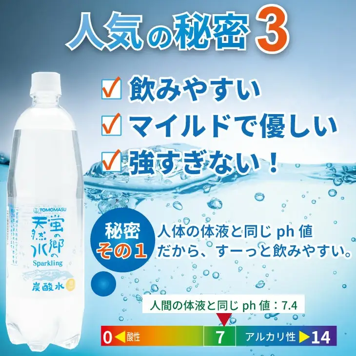蛍の郷の天然すい（炭酸水）1L 15本×1ケース 炭酸 飲料  A060-013