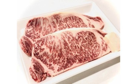 牛ロース 新発田牛ロース ステーキ用 500ｇ 牛ロース  牛ロース  牛ロース  牛ロース  牛ロース  H08_01 