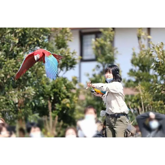 神戸どうぶつ王国入場券付「神戸ポートピアホテル」宿泊プラン（2名1室）1泊朝食付