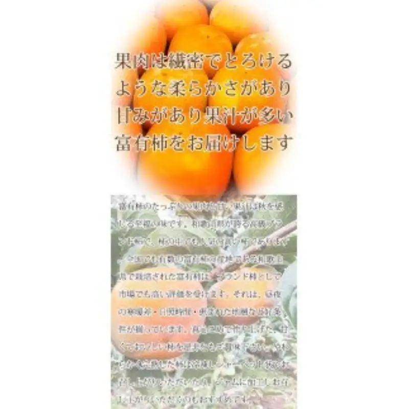 【ご家庭用わけあり】和歌山秋の味覚　富有柿　約3.5kg 【uot741】