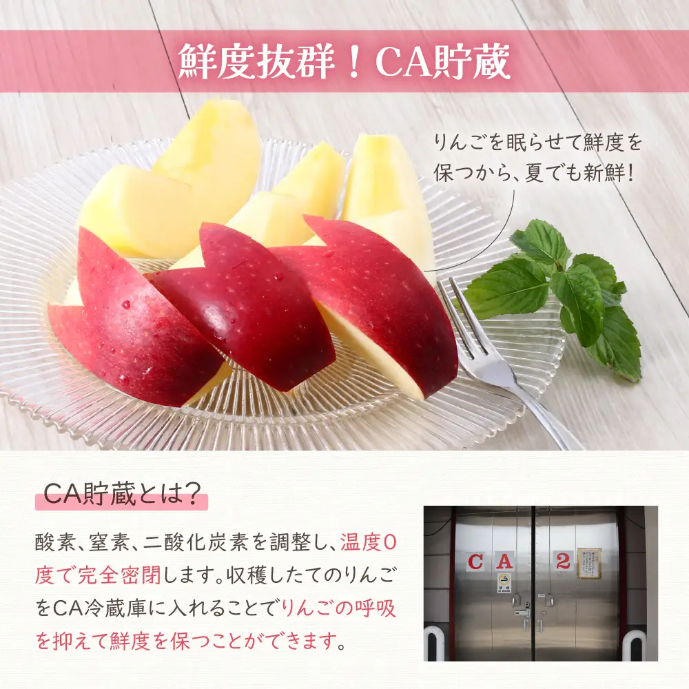 【2026年5月下旬発送】≪特選≫りんご有袋ふじ5kg (スマートフレッシュTM貯蔵またはCA貯蔵・クール便)