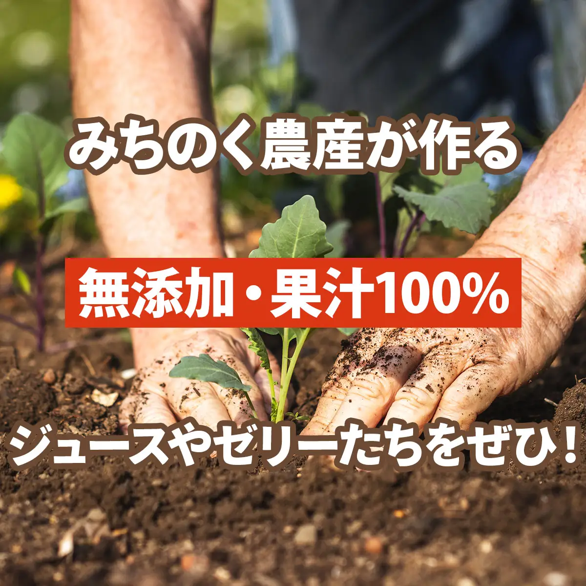 みちのく農産　栄養満載セットB 【 トマトジュース トマトゼリー カット長芋 無添加 果汁100 青森県 贈り物 贈答 ギフト プレゼント】　【02402-0075】