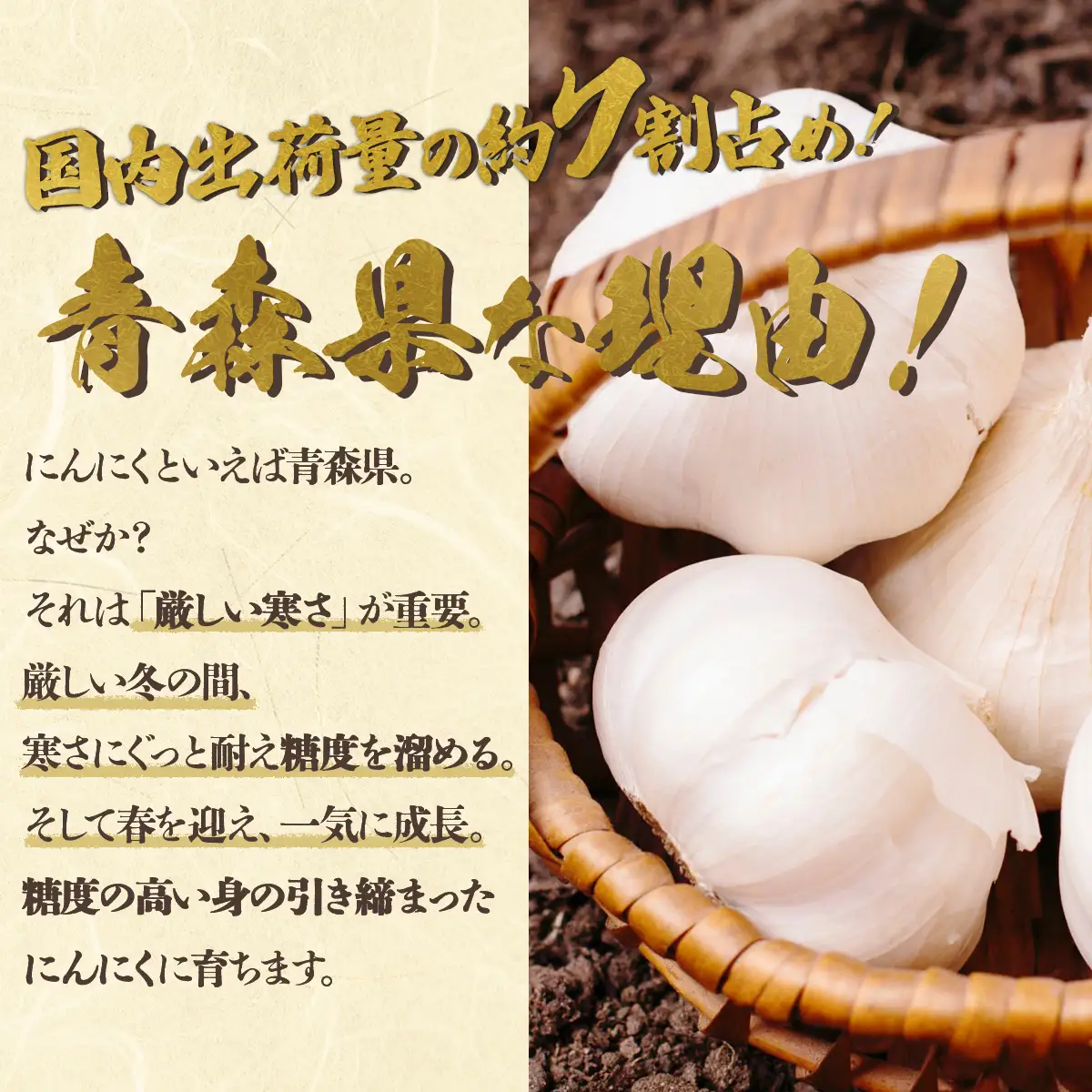 黒にんにく3個セット 【送料無料 青森県 七戸町 にんにく ガーリック 野菜】　【02402-0152】