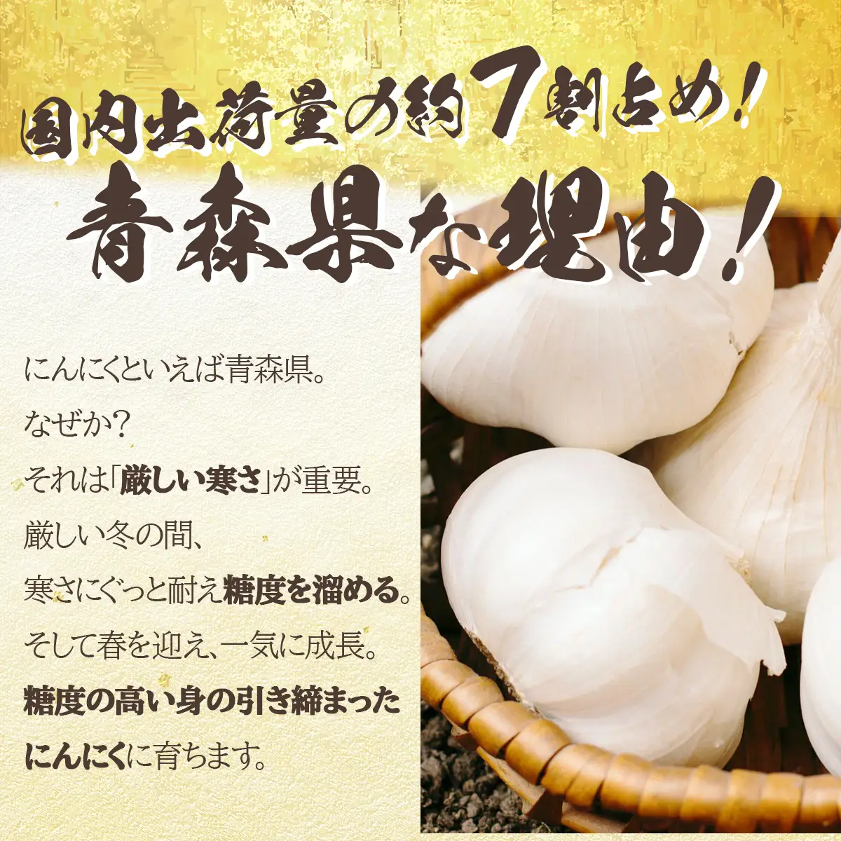 ちぃばぁのにんにくみそ＆黒にんにくセット 【送料無料 青森県 七戸町 にんにく ガーリック 味噌 ご飯のお供】　【02402-0150】