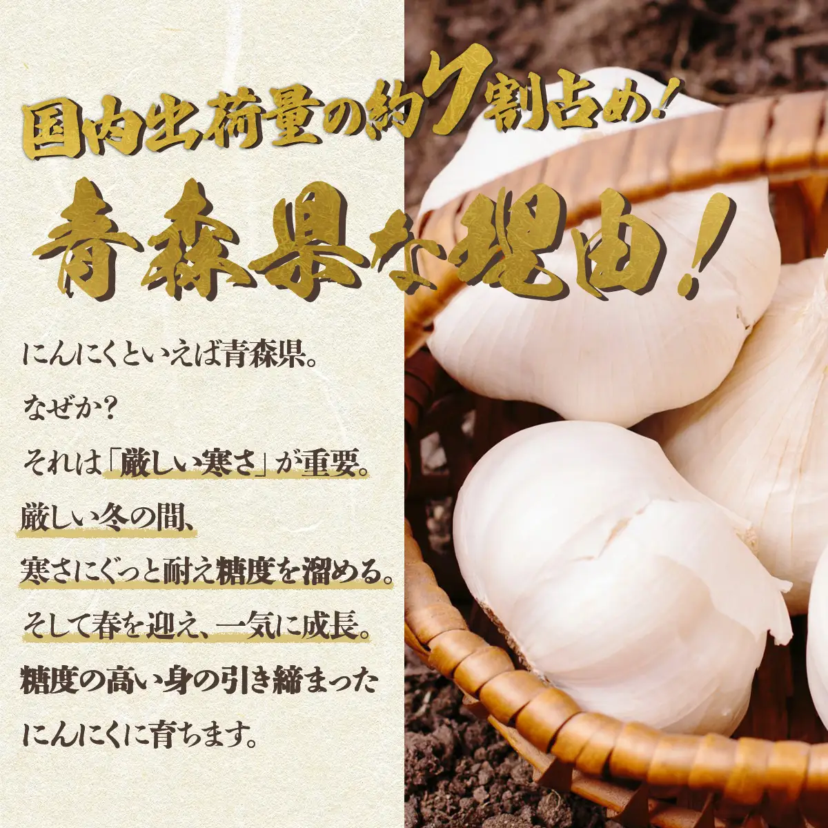 ちぃばぁのにんにくみそ　甘口  【送料無料 青森県 七戸町 にんにく ガーリック 味噌 麹 万能味噌 ディップ 調味料 ご飯のお供】　【02402-0098】