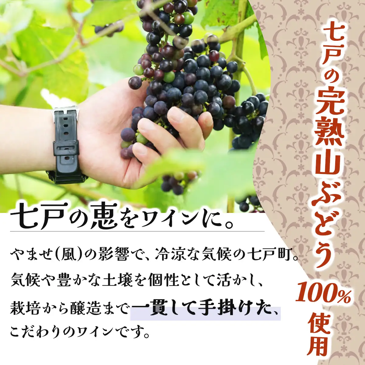 七戸山ぶどうワイン　720ml×１本　【完熟 葡萄 ブドウ 山ぶどう ワイン 甘口ワイン 無添加  青森県 贈り物 贈答 ギフト プレゼント 美容 健康 生活習慣病予防 骨粗しょう症予防 貧血予防 【02402-0153】