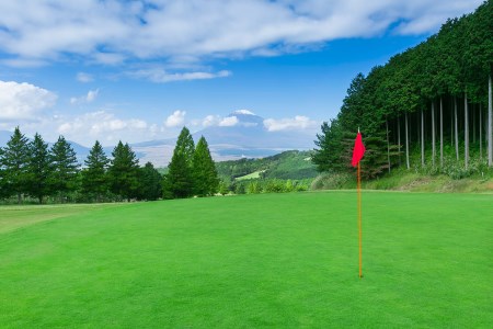 レンブラントゴルフ倶楽部御殿場　施設利用券　4,000円分☆2015年4月オープン☆ | 父の日 ゴルフ場 利用券