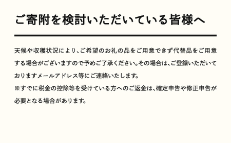 《先行予約》2026年 山形県産 さくらんぼ 佐藤錦 バラ詰（パック）500g 特秀 L 2026年6月上旬頃から順次発送 F20A-009