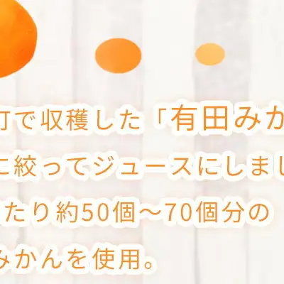 ZE6184_【まごころ】有田みかんジュース100％ 1000ml×12本