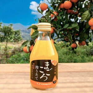 ZE6462_【まごころ搾りたて】有田みかん100%ジュース 180ml×6本 