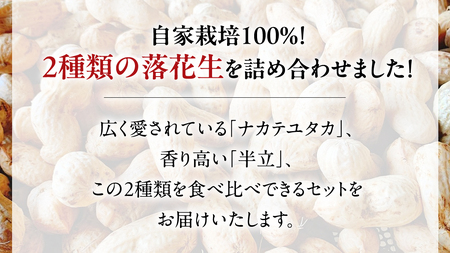牛久市産 落花生 半立セット